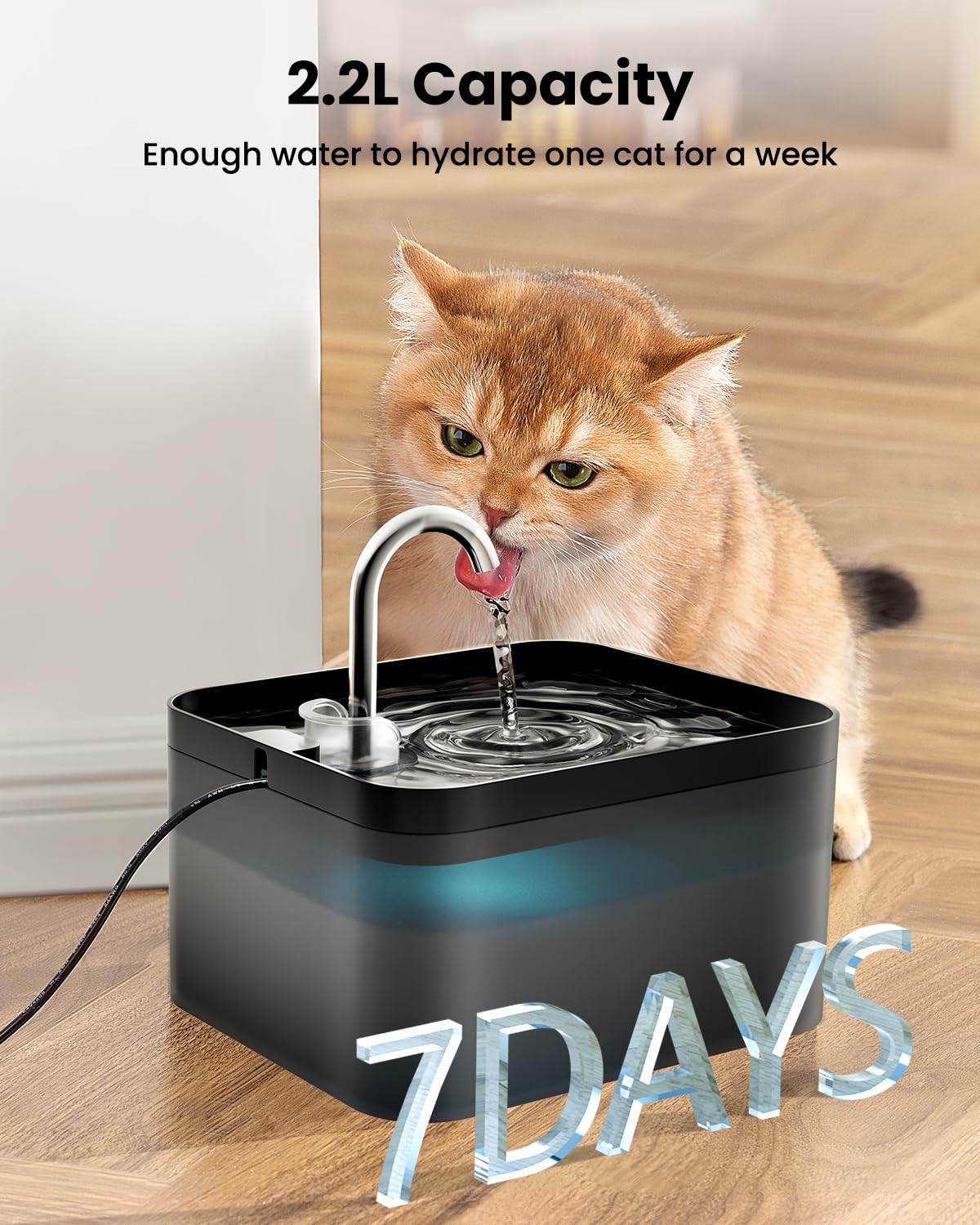 PawPoll Katzenbrunnen, 2,2L Trinkbrunnen