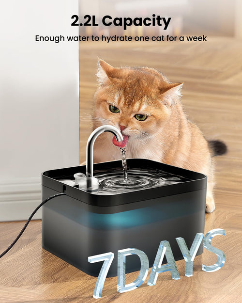 PawPoll Katzenbrunnen, 2,2L Trinkbrunnen